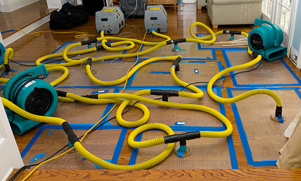 Professional Water Damage Repair technician working in Soda Springs, CA